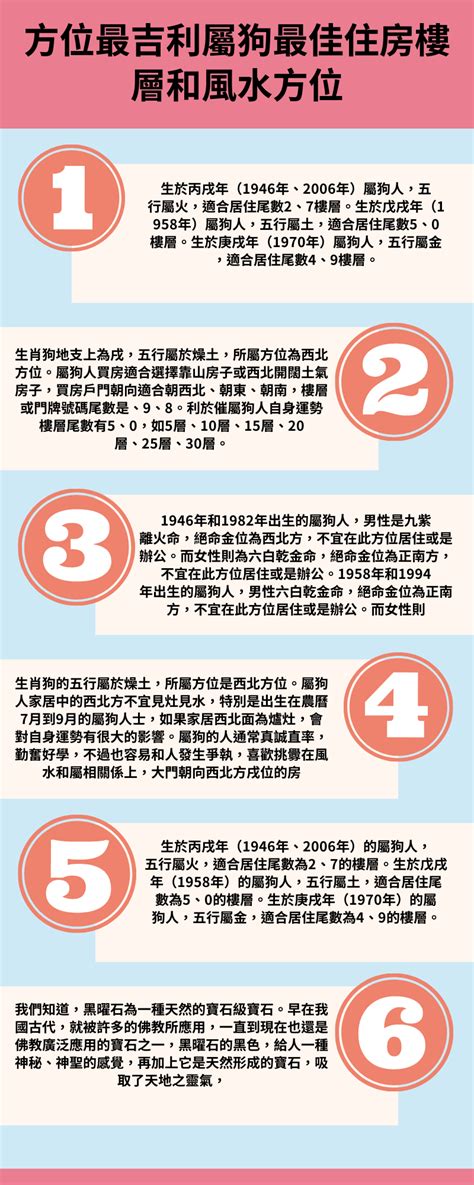 屬狗住宅方位|屬狗最佳住房樓層和風水方位